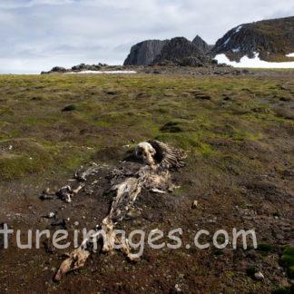 生きてきた証①