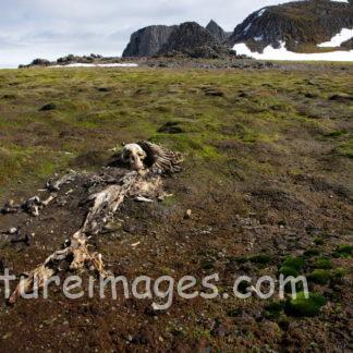 生きてきた証②