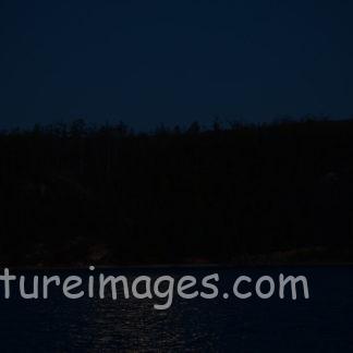 月のみが光り輝く世界