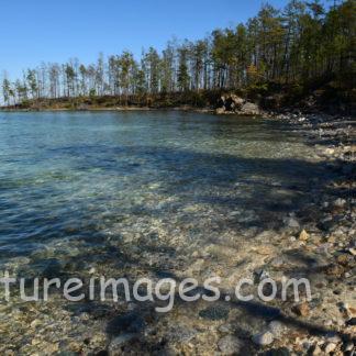 木の影が映った透き通った水