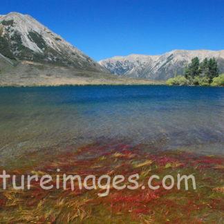 水の中の世界も透き通って見える景色