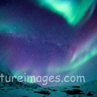 幸せに包まれるカーテン①