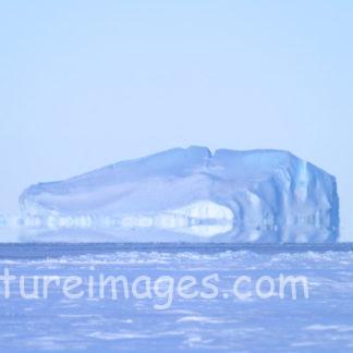 蜃気楼!現れた大きな氷の岩