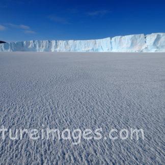 離れて見る薄い青色の氷山
