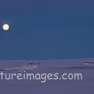 夜の青い空に輝く月