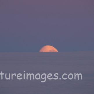 何もいない氷の世界から現れた月