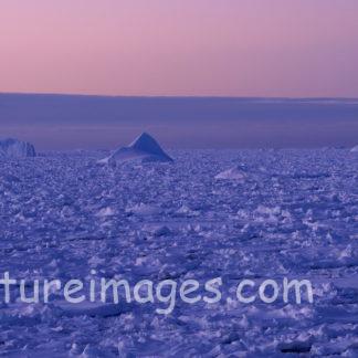 月が昇っても明るい空