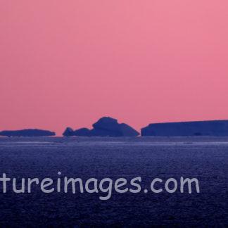 何もないピンクの綺麗な空