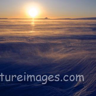 白い世界を金色に染めていく太陽①