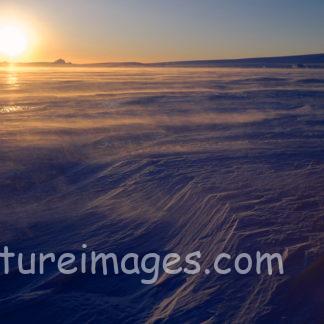 白い世界を金色に染めていく太陽②