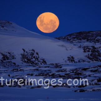 岩の間に出てきた大きな月