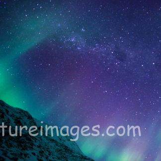 幸せに包まれるカーテン③