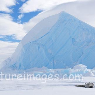 雲の上には青空