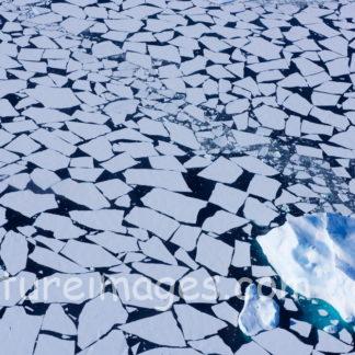 水面に浮かぶ氷